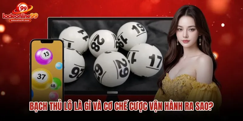 bach-thu-lo-la-gi-va-co-che-cuoc-van-hanh-ra-sao bach-thu-lo-la-gi-va-co-che-cuoc-van-hanh-ra-sao