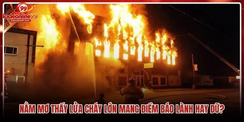 nam-mo-thay-lua-chay-lon-mang-diem-bao-lanh-hay-du nam-mo-thay-lua-chay-lon-mang-diem-bao-lanh-hay-du